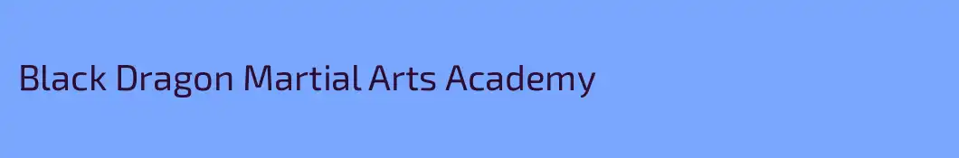 Black Dragon Martial Arts Academy